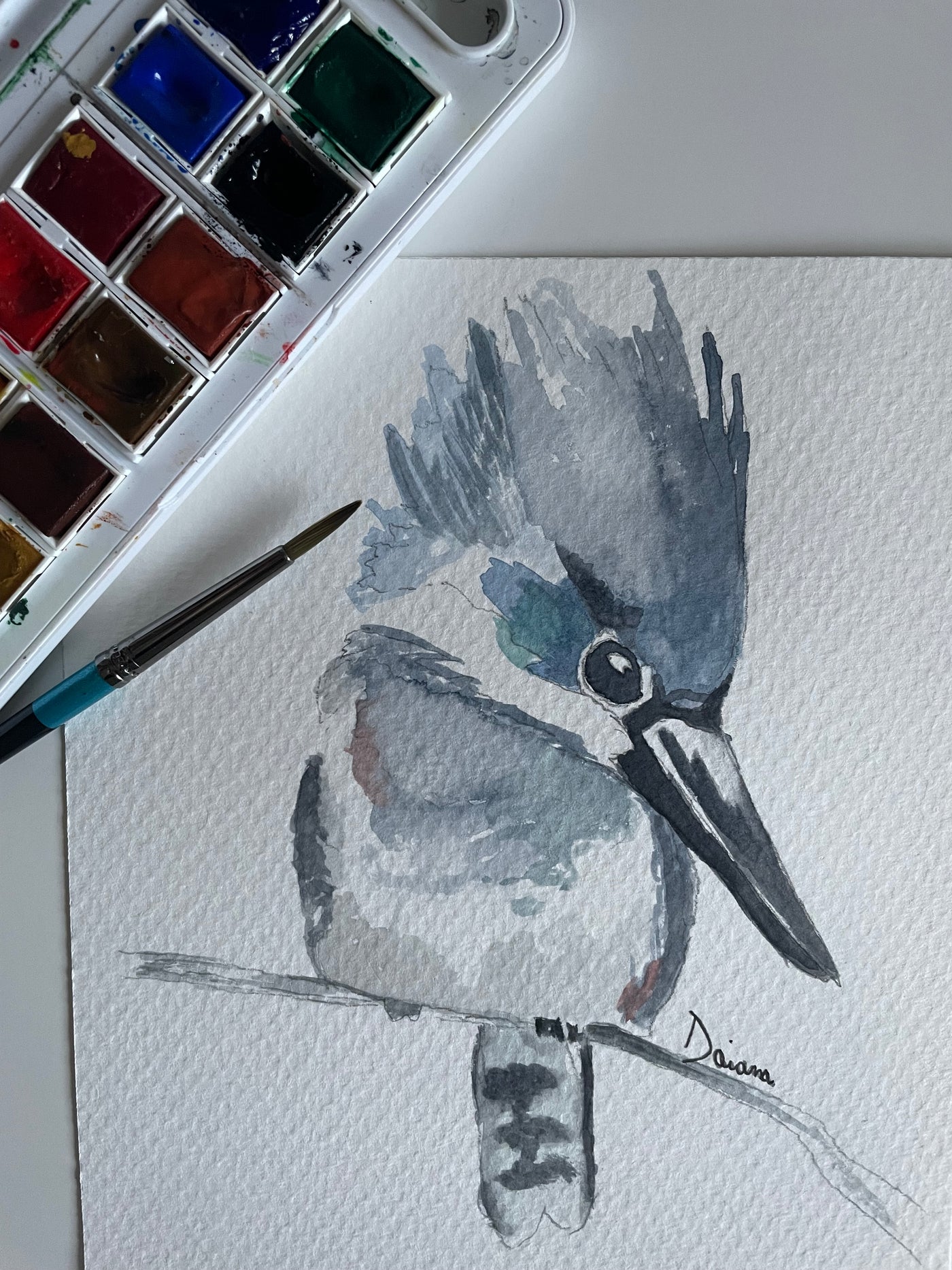 uccellino ad acquarello