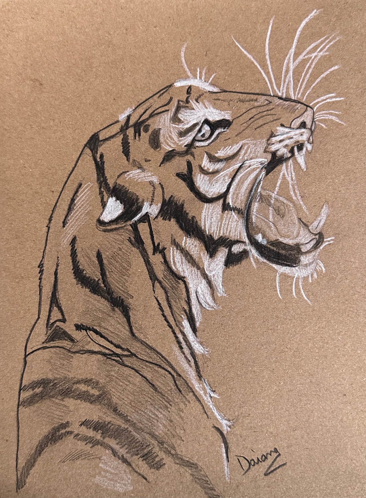 Tigre